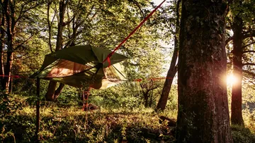 Hängendes Zelt schwingt zwischen Bäumen im Sonnenlicht.